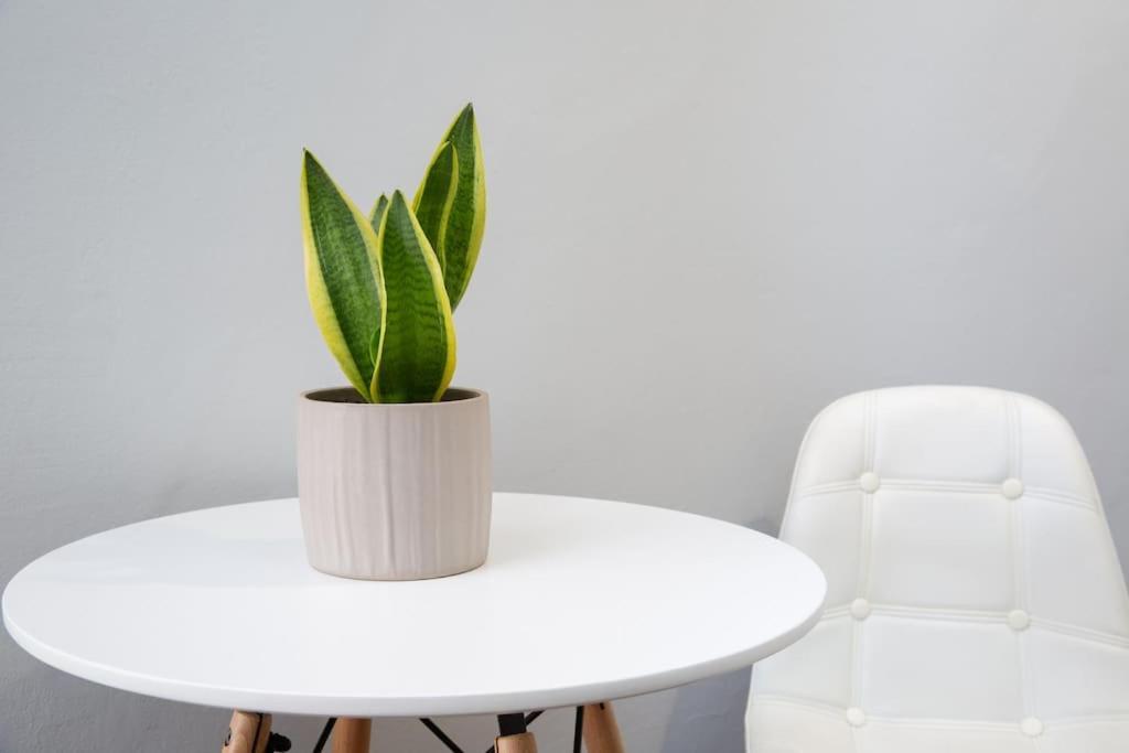 Cosy Apartment With Acropolis View 아테네 외부 사진